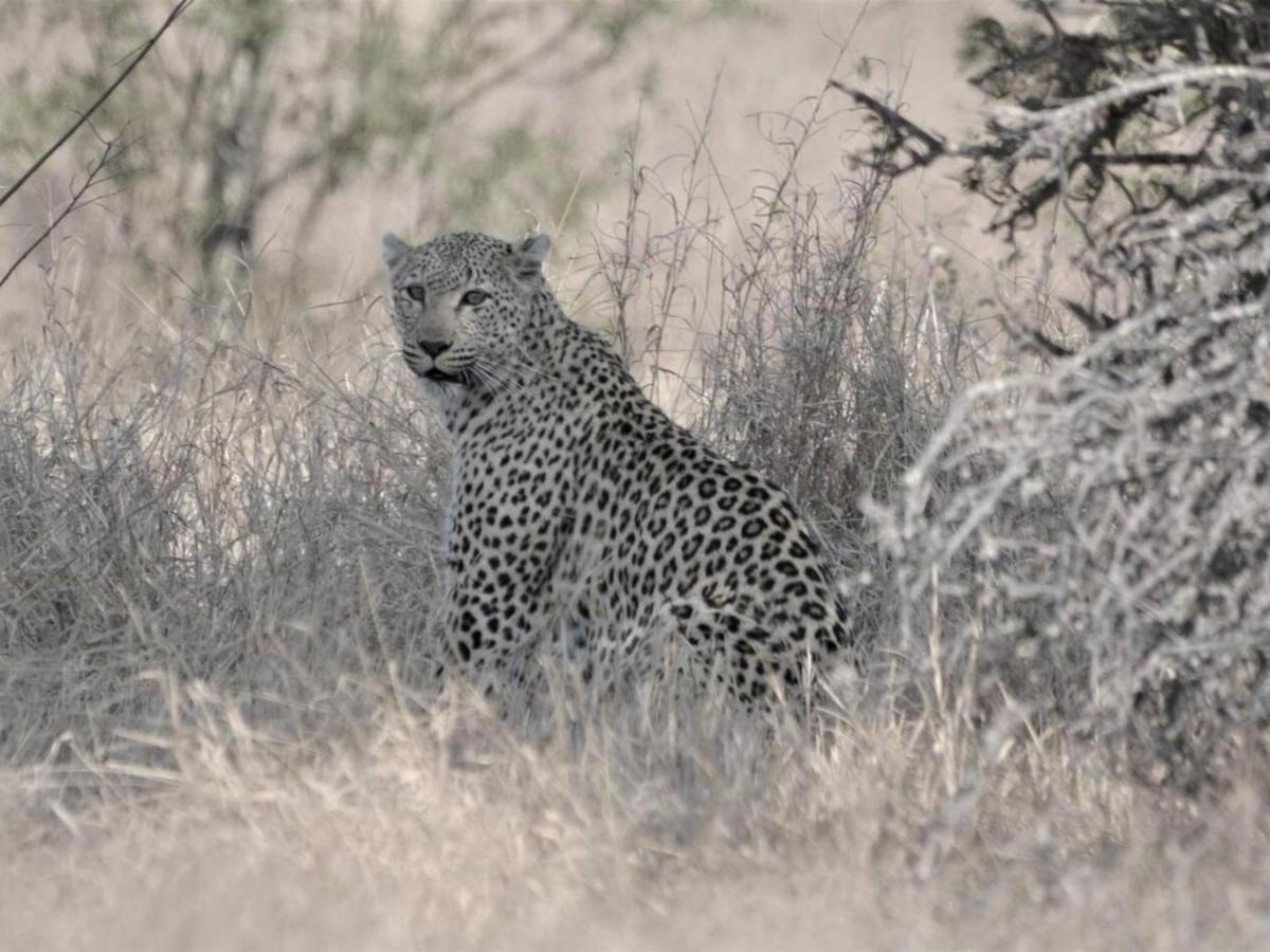 Chelesa By Kruger Nights Apartment Marloth Park Bagian luar foto