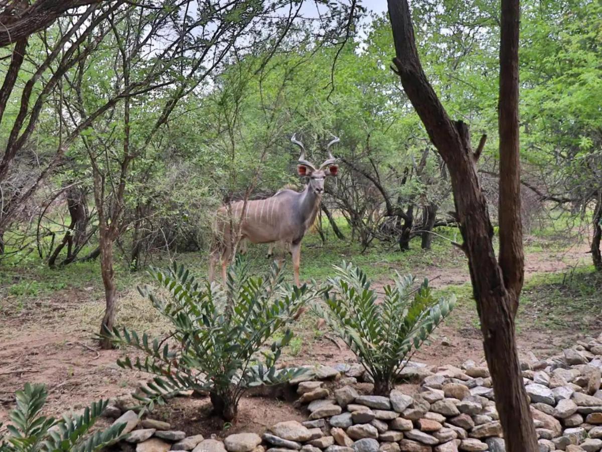 Chelesa By Kruger Nights Apartment Marloth Park Bagian luar foto