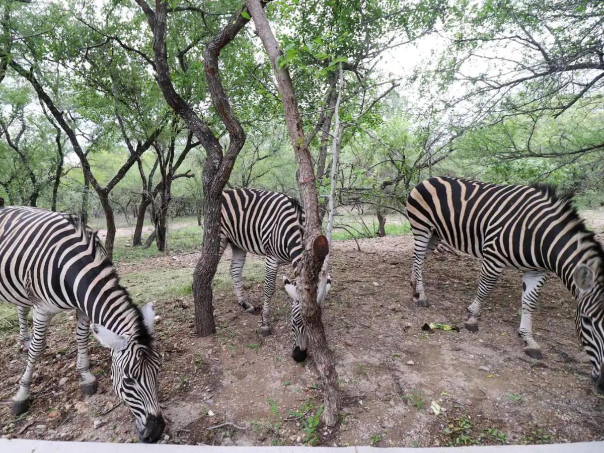 Chelesa By Kruger Nights Apartment Marloth Park Bagian luar foto